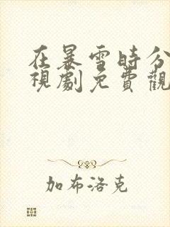 在暴雪时分 电视剧免费观看