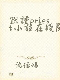 默读priest小说在线阅读免费