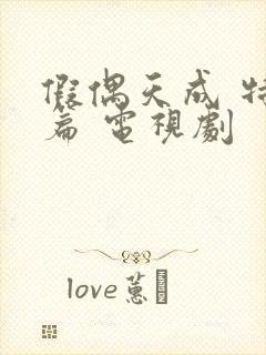 假偶天成 特别篇 电视剧封面