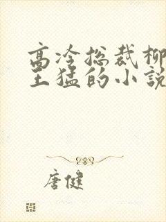 高冷总裁柳如烟王猛的小说免费阅读