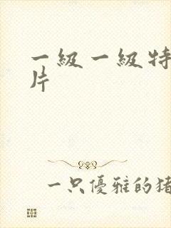 一级一级特黄色片