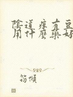 阴道痒有豆腐渣用什么药好