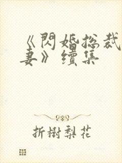 《闪婚总裁契约妻》续集