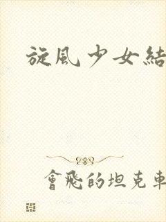 旋风少女结局封面