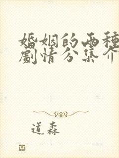 婚姻的两种猜想剧情分集介绍封面