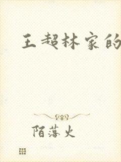 王超林家的小说