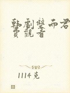 韩剧双面君王免费观看