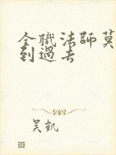 全职法师莫凡回到过去封面