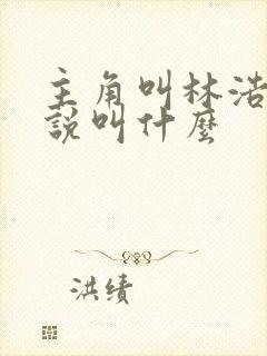 主角叫林浩的小说叫什么