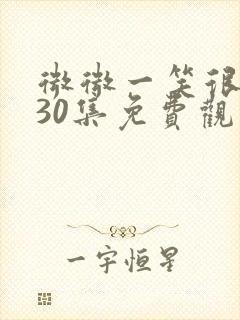 微微一笑很倾城30集免费观看蓝光