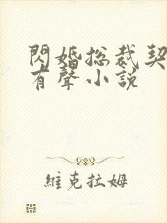 闪婚总裁契约妻有声小说