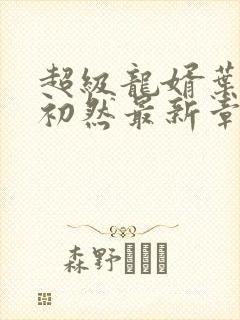 超级龙婿叶辰萧初然最新章节