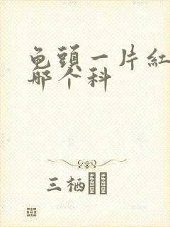 龟头一片红斑挂哪个科