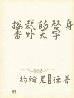 总裁的替身前妻番外天宇