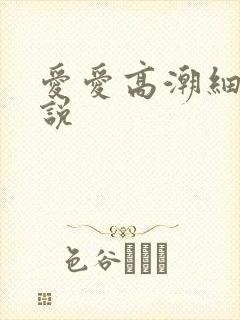 爱爱高潮细节小说
