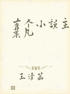 有个小说主角叫叶凡