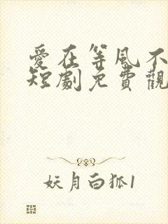 爱在等风不等你短剧免费观看