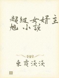 超级女婿主角赵旭 小说封面