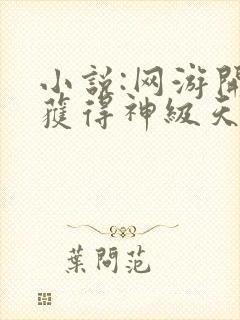 小说:网游开局获得神级天赋封面