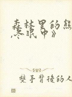 森林里的熊先生,冬眠中》封面