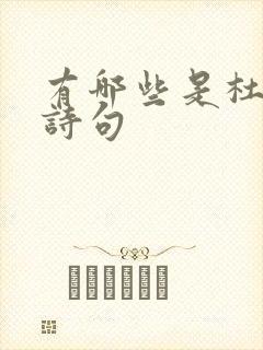 有哪些是杜甫的诗句封面