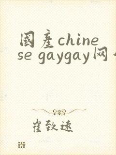 国产chinese gaygay网站封面