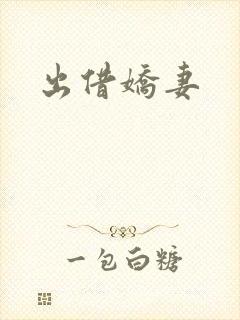 出借娇妻封面