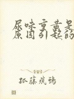 尿味重黄是什么原因引起的