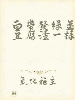 白带发绿并且是豆腐渣一样的是怎么回事封面