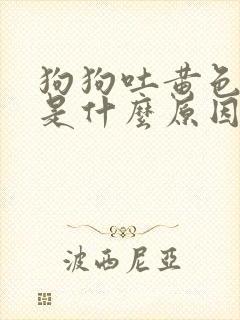 狗狗吐黄色液体是什么原因封面