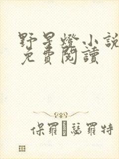 野星灯小说全文免费阅读