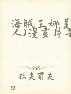 海贼王娜美(同人)漫画片子