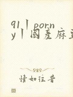 91丨porny丨国产麻豆