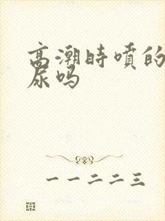 高潮时喷的水是尿吗封面