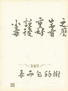 小说重生之将门毒后好看么