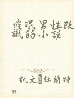 催眠男性改变常识的小说封面