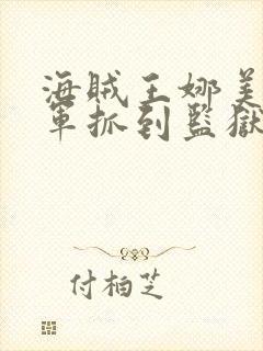 海贼王娜美被海军抓到监狱