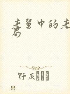 老舅中的老刘结局