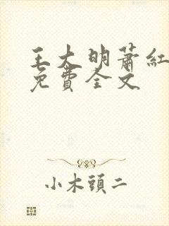 王大明萧红小说免费全文封面