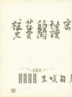 校花的秘密小说免费阅读