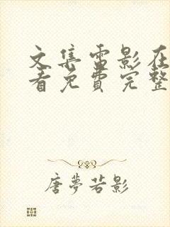 文集电影在线观看免费完整封面