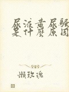 尿液黄尿骚味重是什么原因