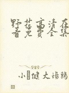 野花高清在线观看免费全集