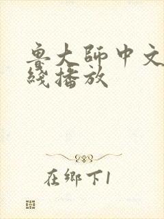 鲁大师中文版在线播放