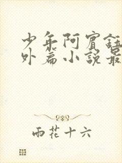 少年阿宾钰慧番外篇小说最新章节列封面