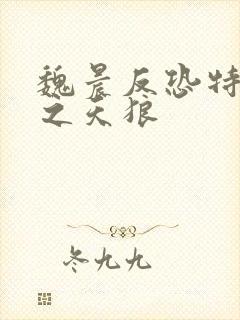 魏晨反恐特战队之天狼封面