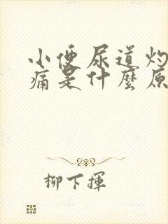 小便尿道灼热刺痛是什么原因封面