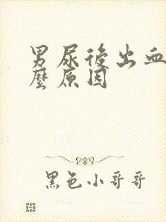 男尿后出血是什么原因