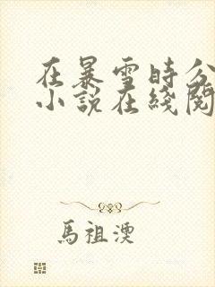 在暴雪时分原著小说在线阅读