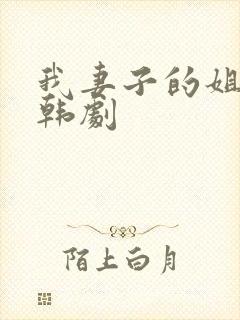 我妻子的姐姐3韩剧